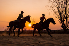 South Africa-Waterberg-South African Explorer